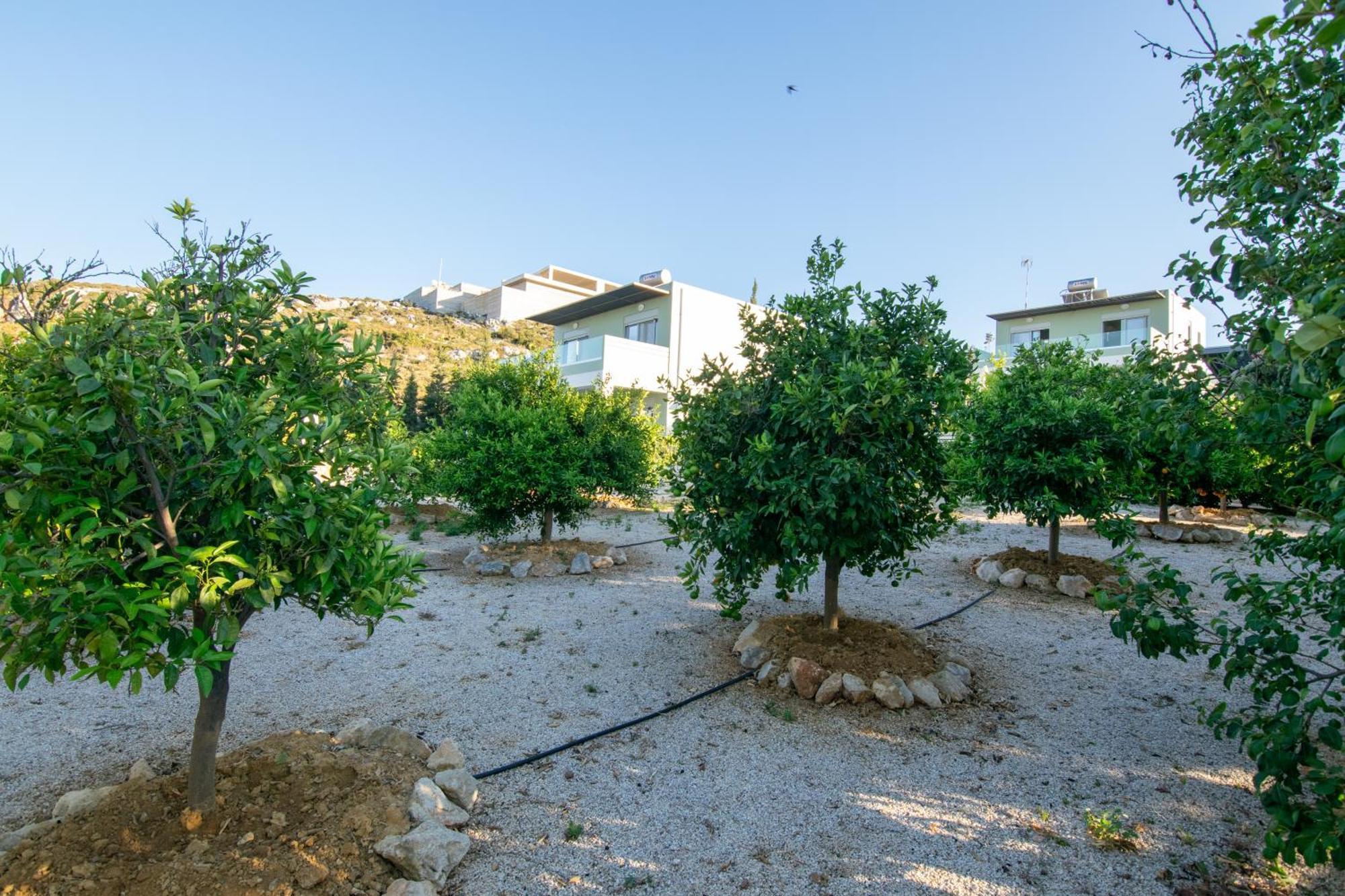 Κatakis Villas Agios Onoufrios Екстер'єр фото