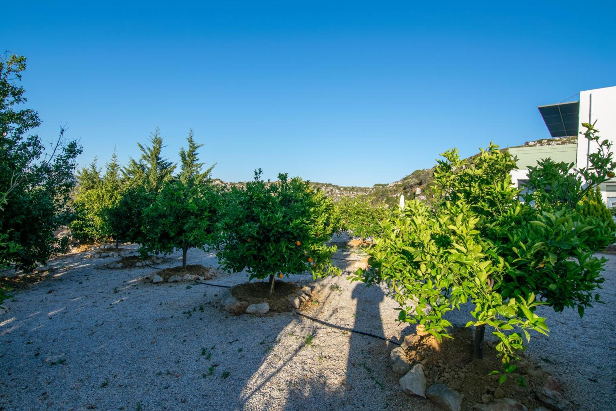 Κatakis Villas Agios Onoufrios Екстер'єр фото