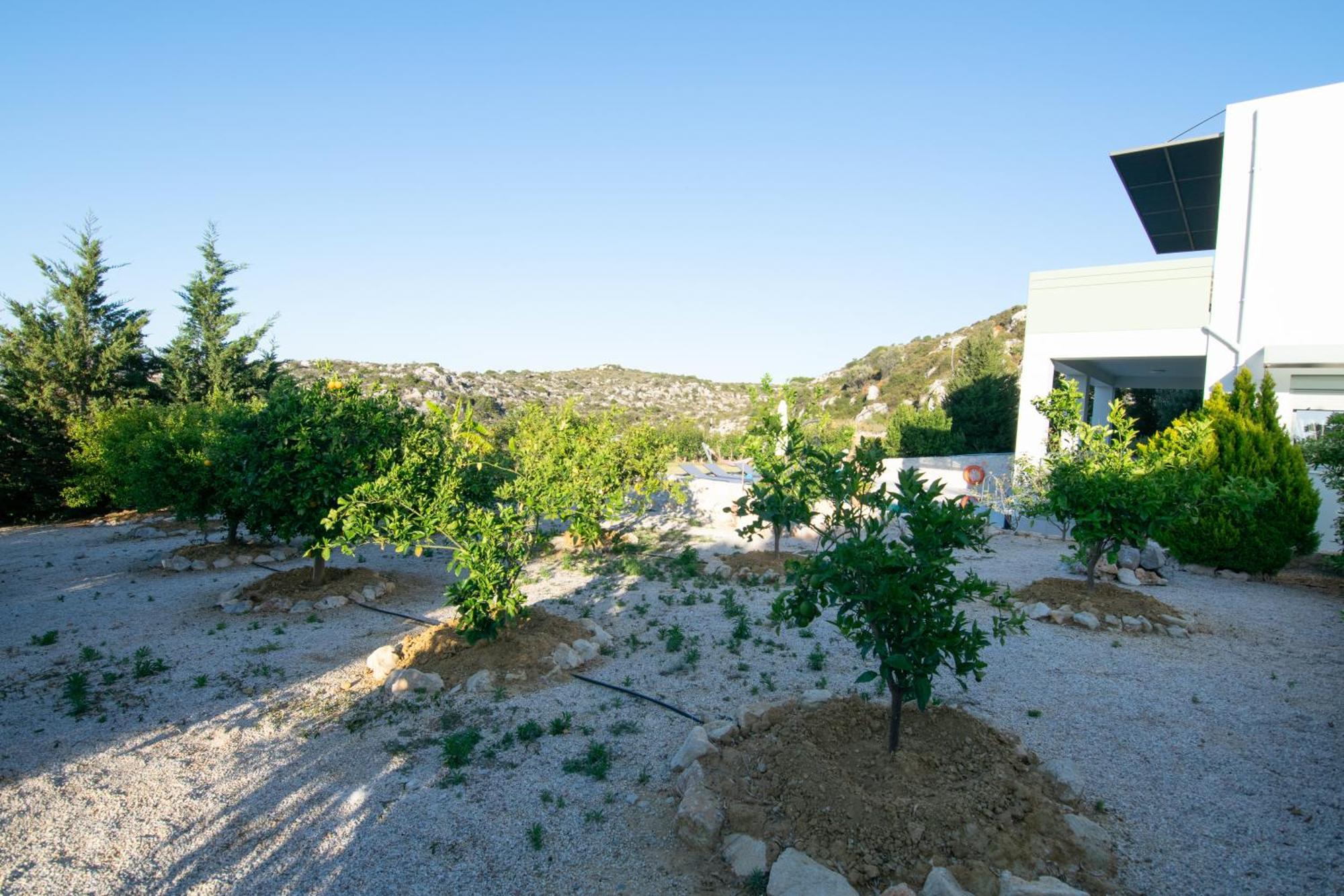 Κatakis Villas Agios Onoufrios Екстер'єр фото