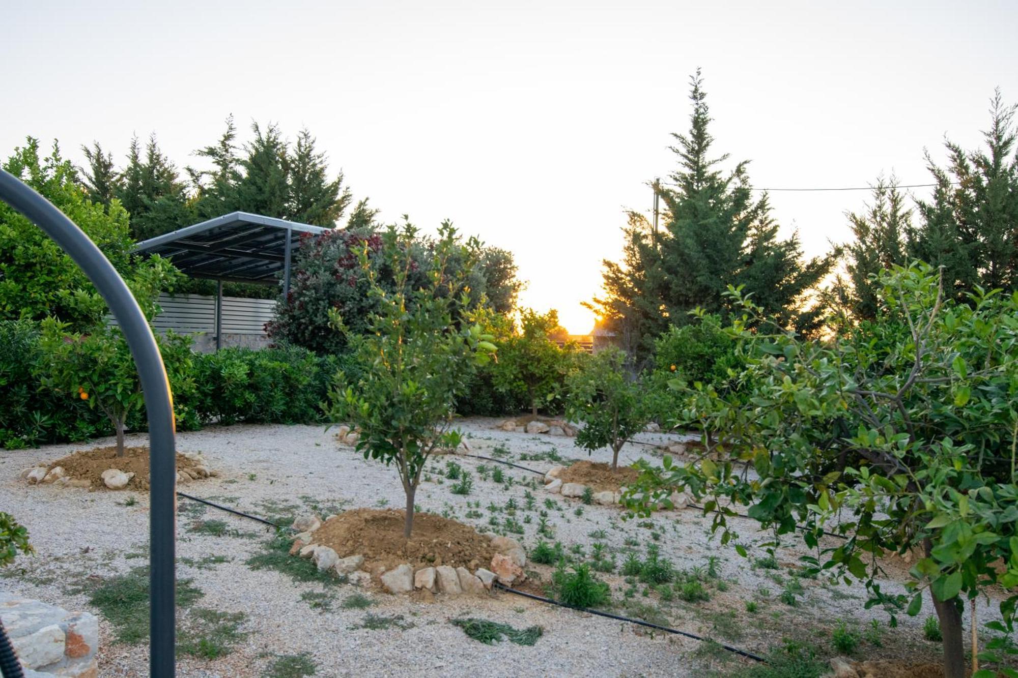 Κatakis Villas Agios Onoufrios Екстер'єр фото