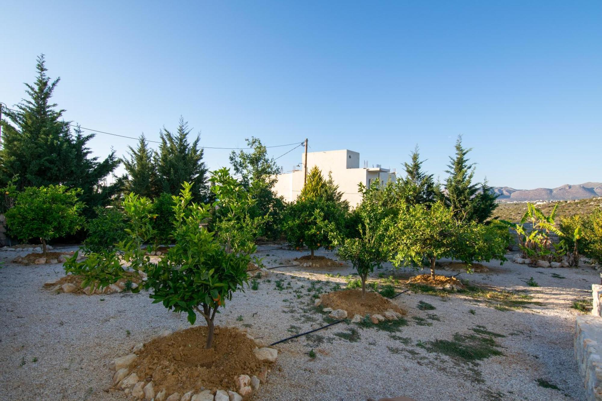 Κatakis Villas Agios Onoufrios Екстер'єр фото